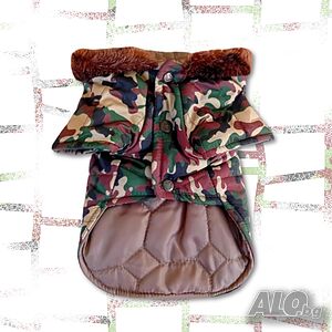 image_3