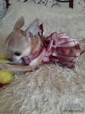 image_8