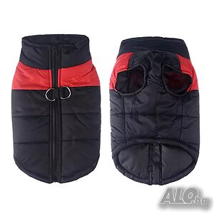 image_2