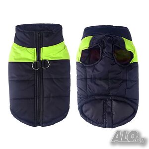 image_3