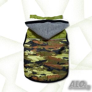 image_3