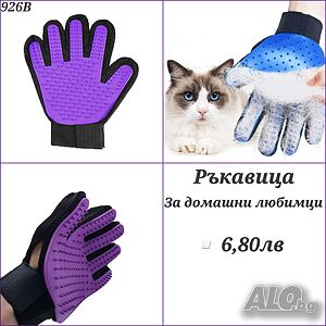 image_11
