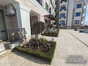 image_6