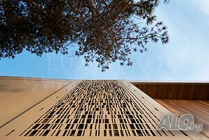 image_11