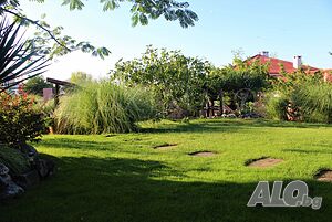 image_13