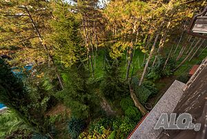 image_6