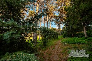 image_9