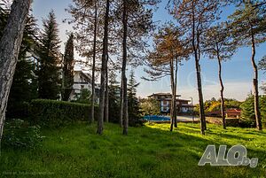 image_11