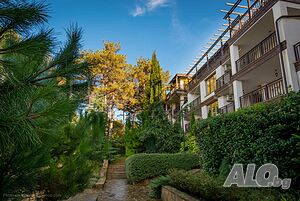 image_12