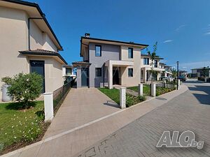 image_6