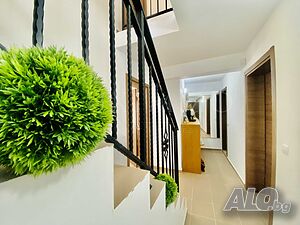 image_5