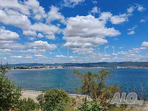 image_11