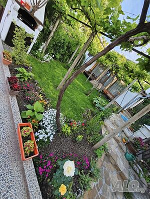 image_10