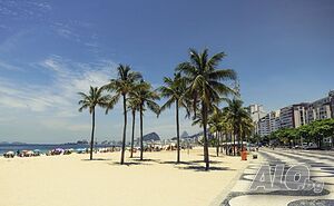 image_8