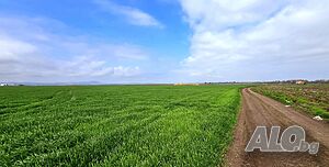image_3