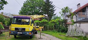 image_6