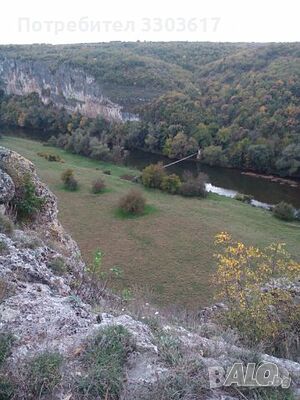 image_10