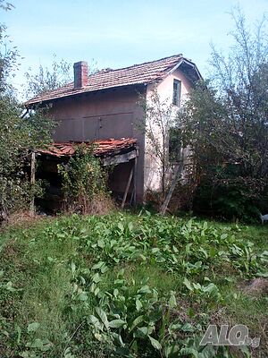 image_11