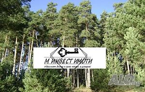 Продажба Земеделска земя гр. Батак - гр. Батак 2000m²