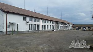 Мандра Бяла мечка