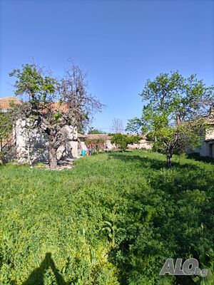 image_7