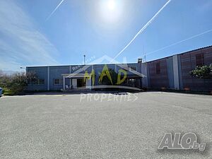 image_11