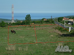 image_3