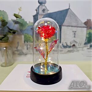 image_2