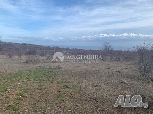 image_7