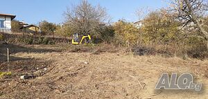 image_5