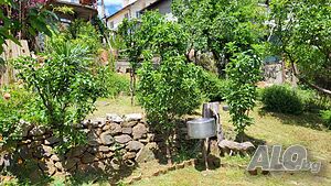 image_15