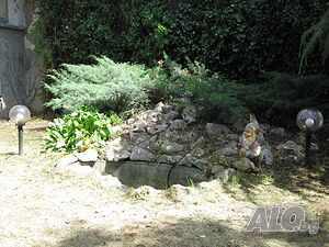 image_2