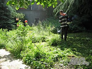 image_3