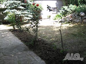 image_8