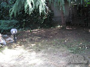image_10