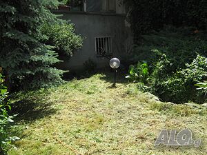 image_11