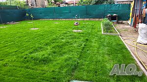 image_14