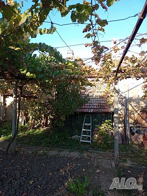 image_10