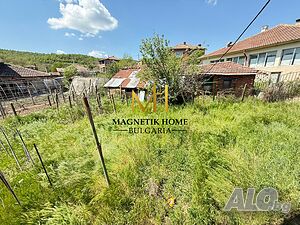 image_7