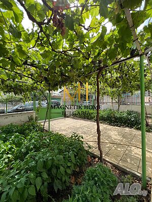 image_15