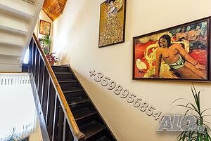 image_12