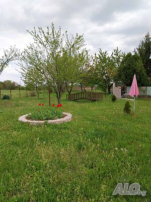 image_6