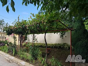 image_11