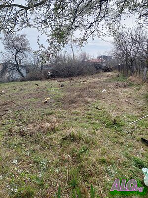 Почистване на Дворни Места Парцели БЕЗ почивен ден НИСКИ ЦЕНИ НИСКИ ЦЕНИ НИСКИ ЦЕНИ