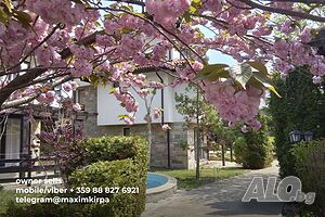 image_22
