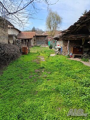 image_10