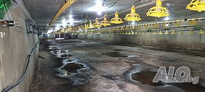 П О - 105 - Продава се оборудвана птицеферма.