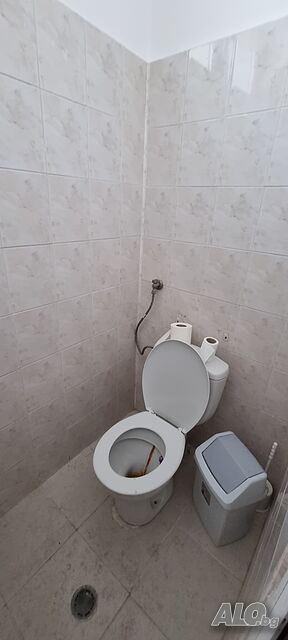 image_15