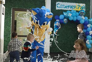 Аниматор Соник