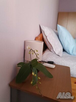 image_13